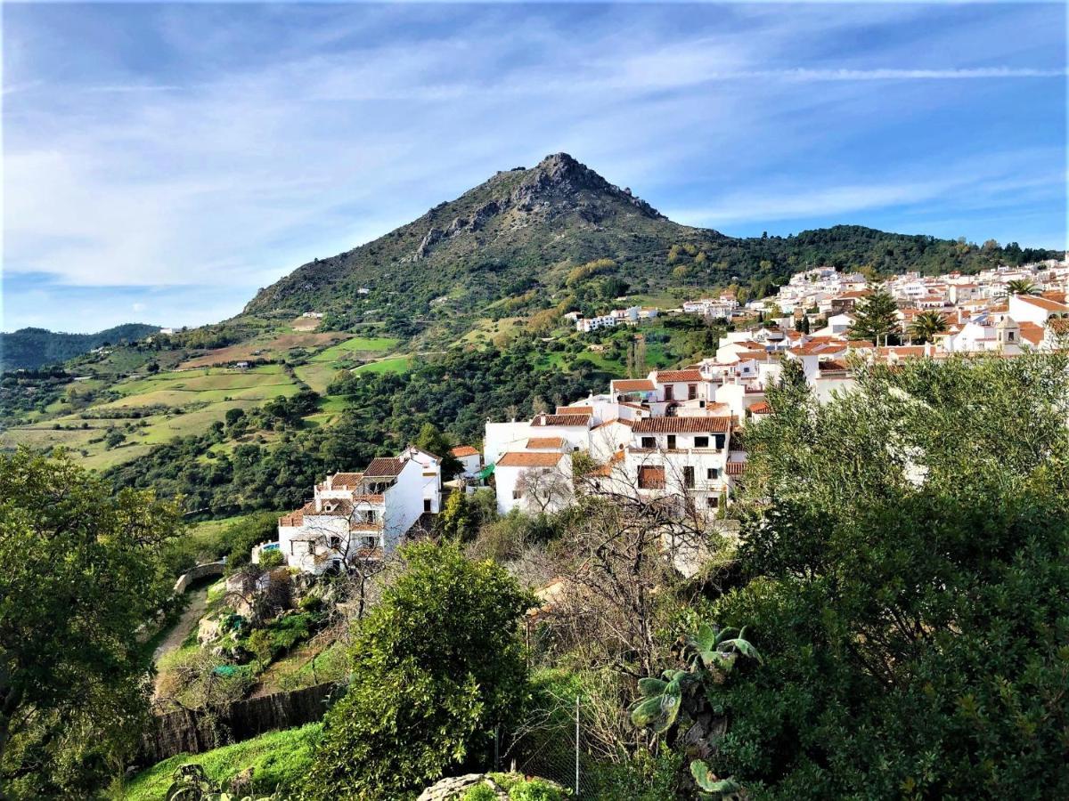 Nilva Mountain - Manilva Villa Buitenkant foto